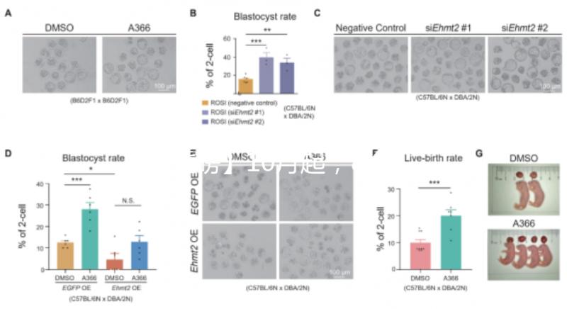 【重磅】10月起，8個(gè)輔助生殖類診療項(xiàng)目可醫(yī)保報(bào)銷！關(guān)于試管嬰兒，你想知道的都在這里……