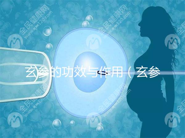 玄參的功效與作用(玄參傷腎還是補(bǔ)腎)