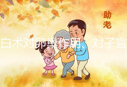 白術對卵巢作用、對子宮咋樣解答，備孕夫妻早看早安心