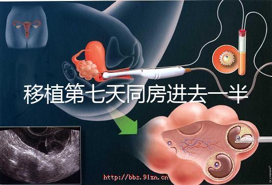 移植第七天同房進去一半有無影響戳，沒出血問題就不大