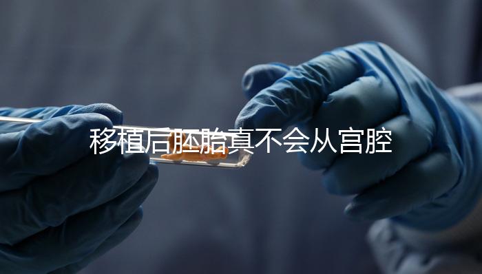 移植后胚胎真不會從宮腔掉出來！原因有這些...