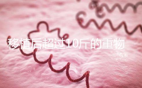 移植后超過10斤的重物別去搬，當(dāng)心出現(xiàn)腹痛和陰道出血