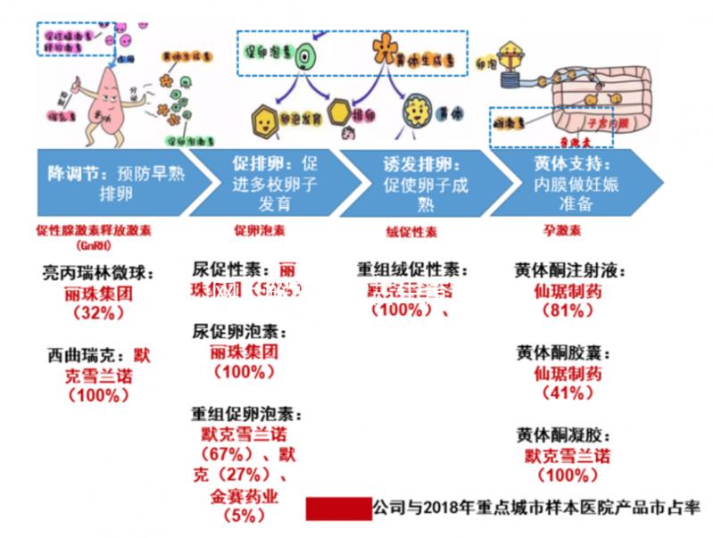 網上解密內蒙古生育登記要不要辦理，想造包頭怎么辦？