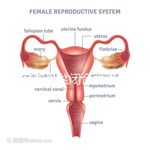 美容院骨盆閉合術(shù)騙局公開，不但沒用還會造成損傷要小心