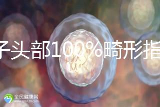 精子頭部100%畸形指數1.69，試管這條路還能通