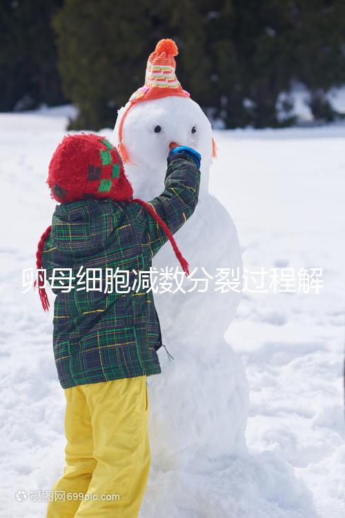 卵母細胞減數分裂過程解讀，從出生到成熟必經這3個階段