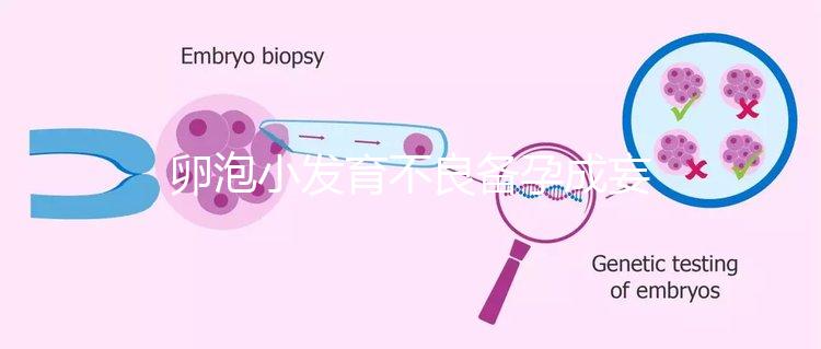 卵泡小發育不良備孕成妄想，閉鎖卵泡早檢查早治療