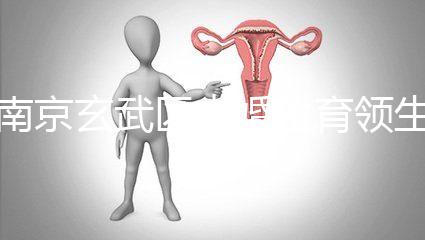 南京玄武區(qū)未婚生育領(lǐng)生育金看條件，社會(huì)撫養(yǎng)費(fèi)交不了多少