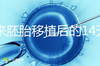 原來胚胎移植后的14天，這些信號預示著床成功