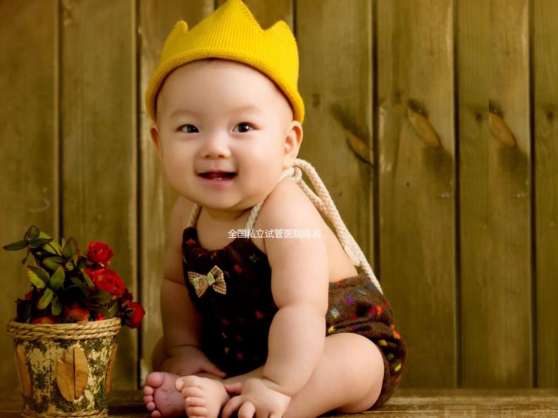 全國私立試管醫(yī)院排名,附兩家助孕機構成功率與費用