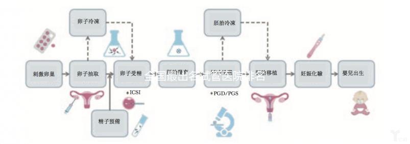 全國最出名試管醫院排名前5，內附試管費用及成功率一覽