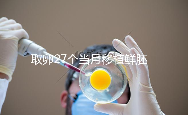 取卵27個當(dāng)月移植鮮胚別想了，成功率低不說當(dāng)心全軍覆沒