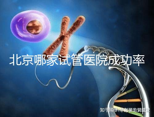 北京哪家試管醫院成功率最高？