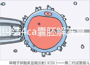 別糾結4ca囊胚解凍復蘇最早幾天能測出了，著床率先了解下