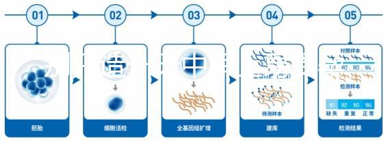 別只造一天中早上易受孕生男孩，60秒教你算出最佳同房時間
