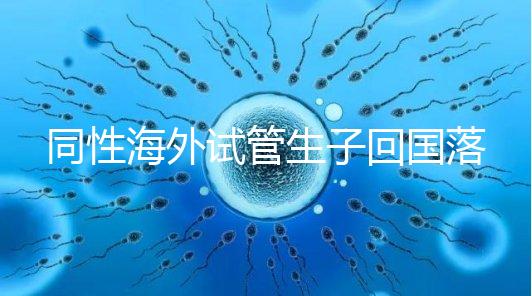 同性海外試管生子回國落戶講方法，男同上戶過程更復雜