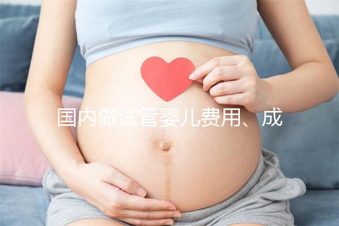 國內(nèi)做試管嬰兒費用、成功率多少?貴溪市內(nèi)姐妹孕前必讀