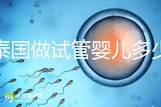 在泰國做試管嬰兒多少錢（在泰國做試管嬰兒多少錢？）