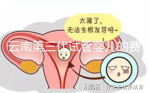 云南第三代試管嬰兒的費(fèi)用是多少？如何選擇可靠的醫(yī)院？這篇文章的策略已經(jīng)為你做好了
