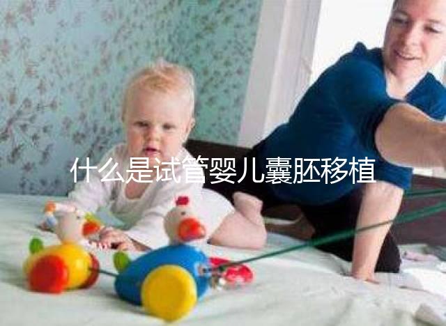 什么是試管嬰兒囊胚移植？