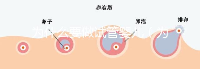 為什么要做試管嬰兒（為什么要做試管嬰兒的原因）