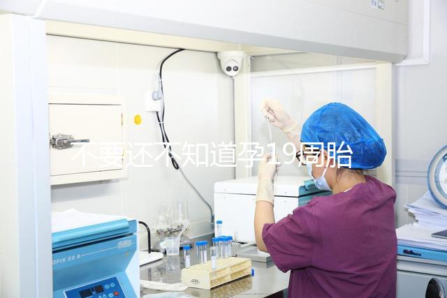 不要還不知道孕19周胎教音樂是怎么放的先聽聽有用嗎?