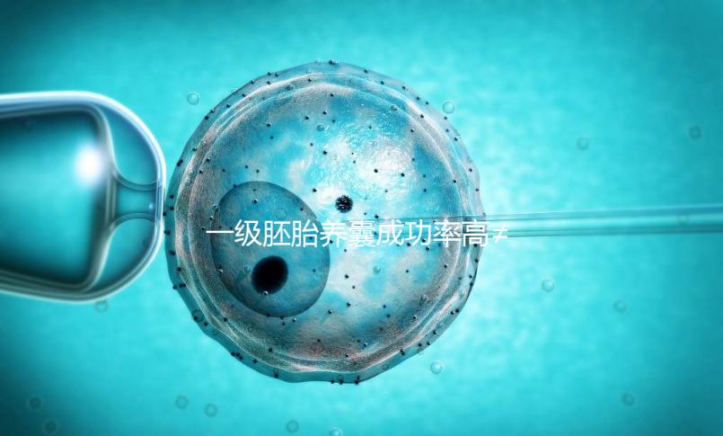 一級胚胎養囊成功率高≠零失敗，染色體異常是主要原因