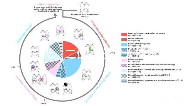 一代、二代、三代人授試管的區(qū)別全在這里!還有第四代試管技術(shù)!