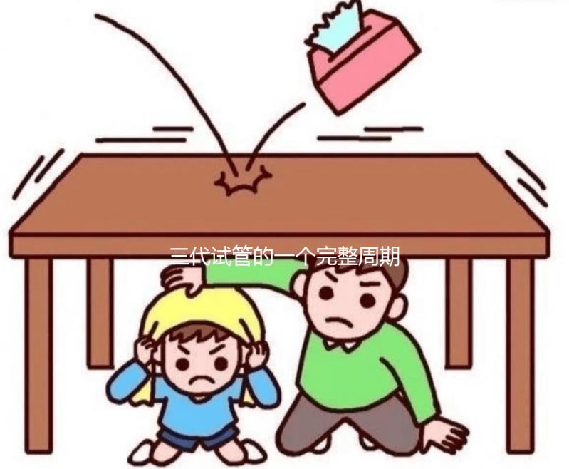 三代試管的一個完整周期包含哪些內(nèi)容？