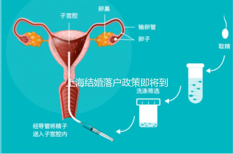 上海結婚落戶政策即將到來，包括2024年黃浦區(qū)詳細的戶籍流程