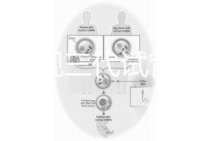 中國(guó)正規(guī)三代試管嬰兒機(jī)構(gòu)名單，2025生殖機(jī)構(gòu)排名參考
