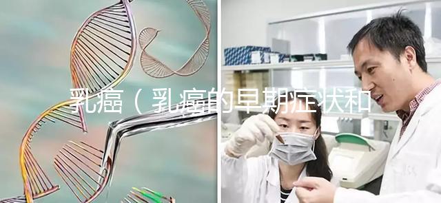 乳癌(乳癌的早期癥狀和前兆是什么)