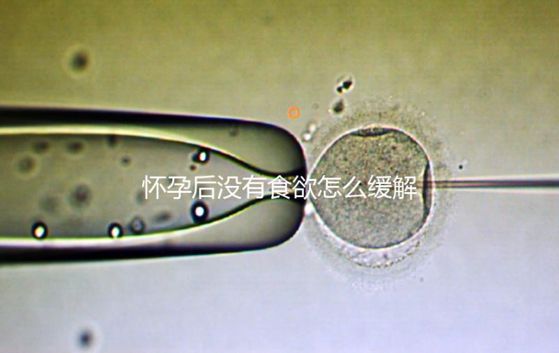 懷孕后沒有食欲怎么緩解？