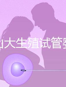 提升山大生殖試管嬰兒成功率，“老司機”送你這4招！