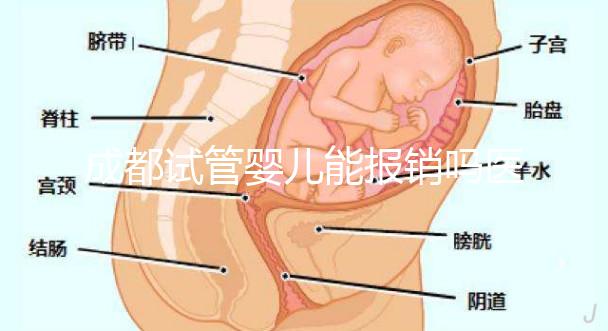 成都試管嬰兒能報(bào)銷嗎醫(yī)保？政策解讀