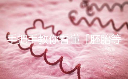 手把手教你看懂「胚胎等級報(bào)告」,不做試管嬰兒懵星人