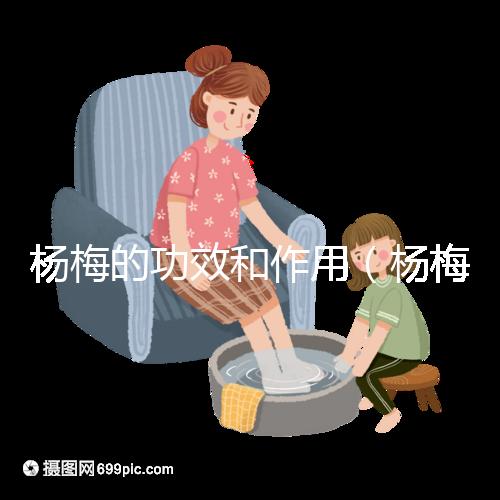 楊梅的功效和作用(楊梅的功效和作用禁忌 營(yíng)養(yǎng)價(jià)值)