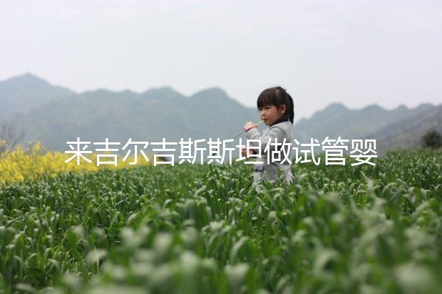 來吉爾吉斯斯坦做試管嬰兒哪家好？老友掏心窩聊點實在的