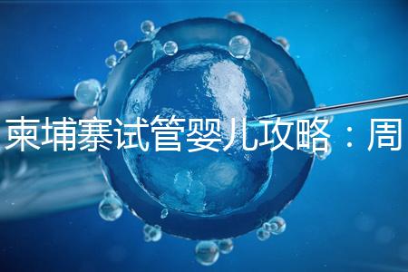 柬埔寨試管嬰兒攻略：周期和時間規劃全解析！