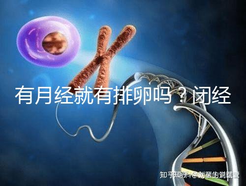 有月經就有排卵嗎？閉經、絕經還能做試管嬰兒嗎？