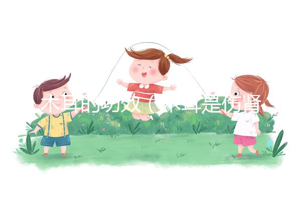 木耳的功效(木耳是傷腎還是補(bǔ)腎)