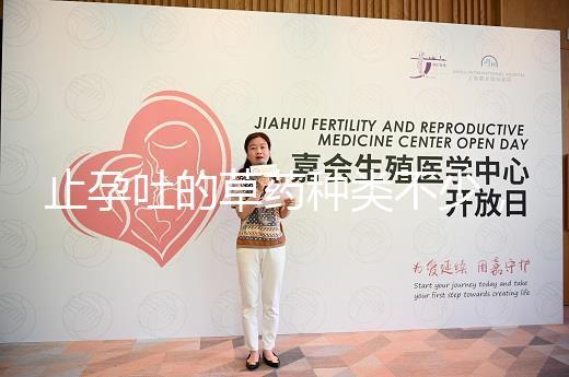 止孕吐的草藥種類不少,胡椒草、半夏…幫你輕松渡過(guò)孕早期