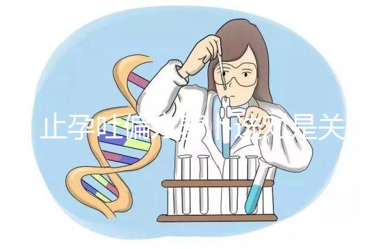 止孕吐偏方蘿卜選對是關(guān)鍵,懷孕初期生吃or煲湯功效不同