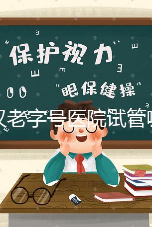 武漢老字號醫(yī)院試管哪個醫(yī)生好？2025助孕成功率高的大夫參考