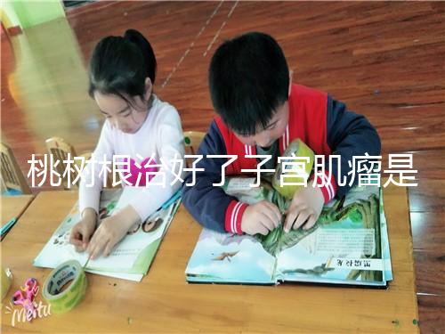 桃樹根治好了子宮肌瘤是謠言?和豬肉一起吃效果真不賴