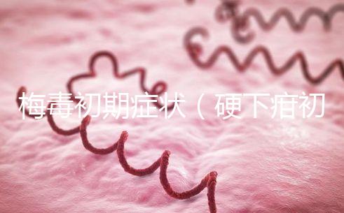 梅毒初期癥狀(硬下疳初期圖片)