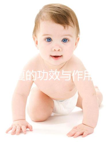 法半夏的功效與作用（法半夏是上火還是降火）