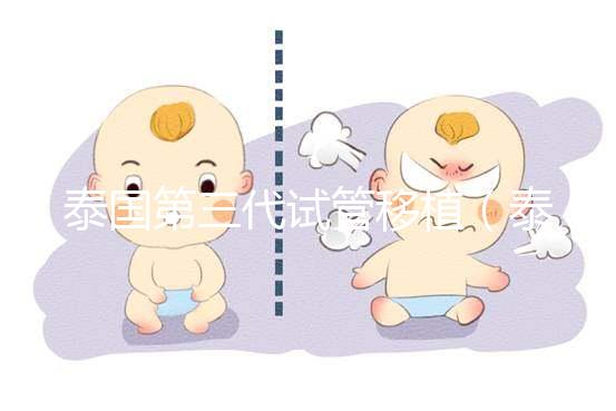 泰國第三代試管移植（泰國第三代試管移植成功率）