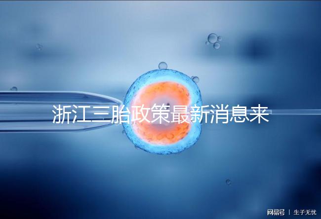 浙江三胎政策最新消息來(lái)襲,2024臺(tái)州有哪些補(bǔ)貼?