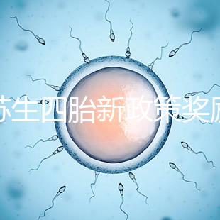 江蘇生四胎新政策獎(jiǎng)勵(lì)多少錢(qián)瞧,2024發(fā)放標(biāo)準(zhǔn)了解下